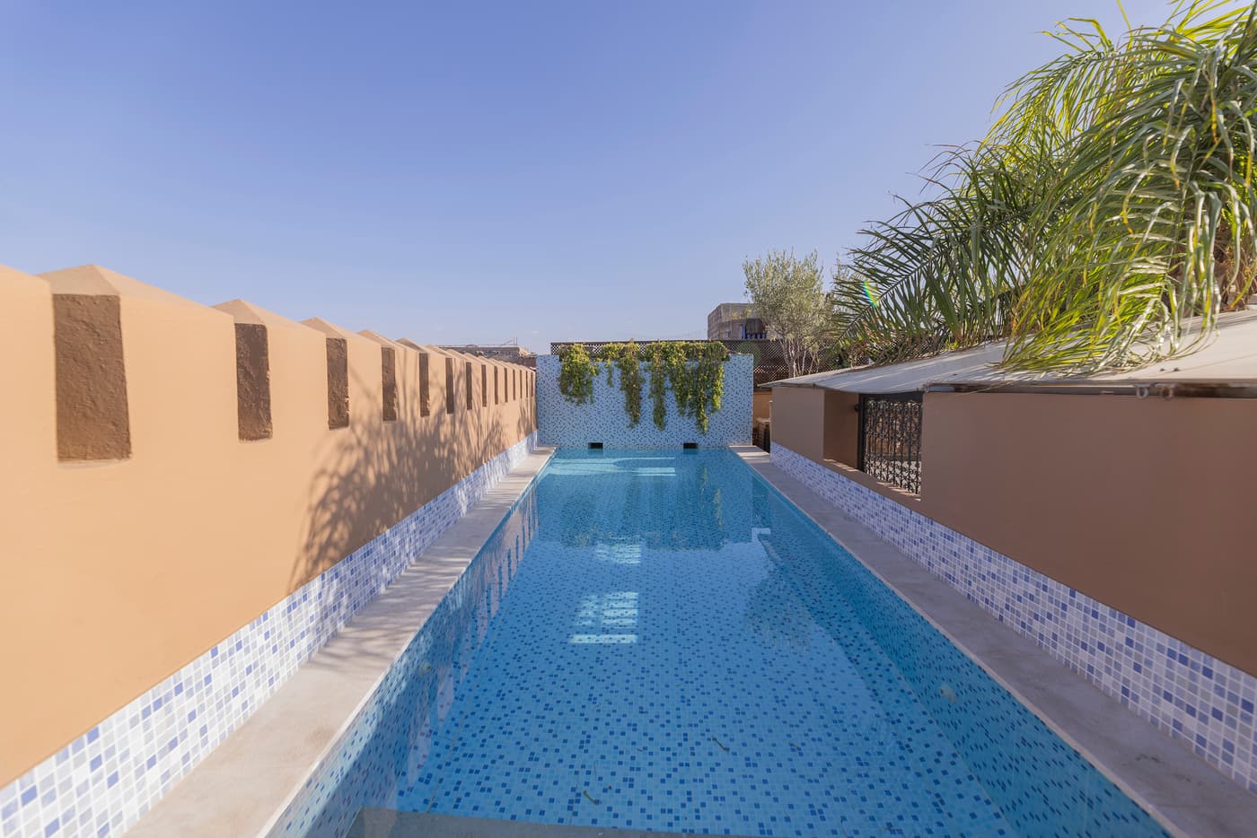 La piscine de mosaïque bleue sur le toit, entourée de transats et de verdure