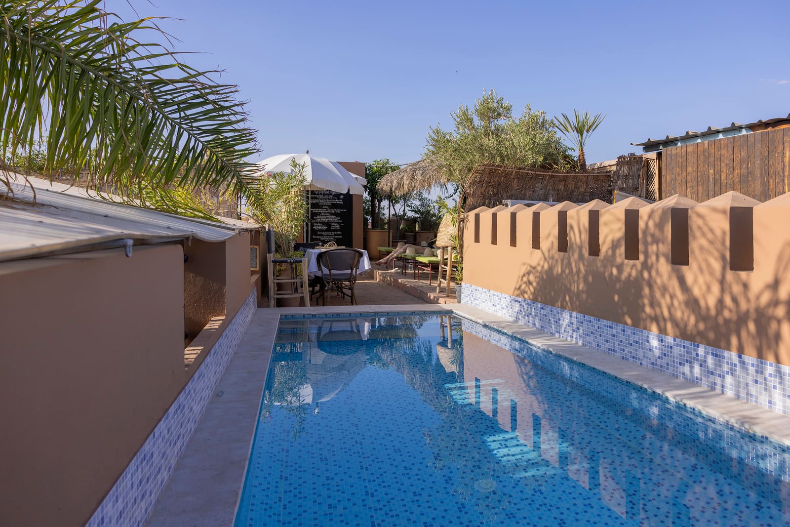 La piscine chauffée sur le toit du riad, mosaïque bleue bordée d'un palmier et d'un olivier, face aux sommets de l'Atlas